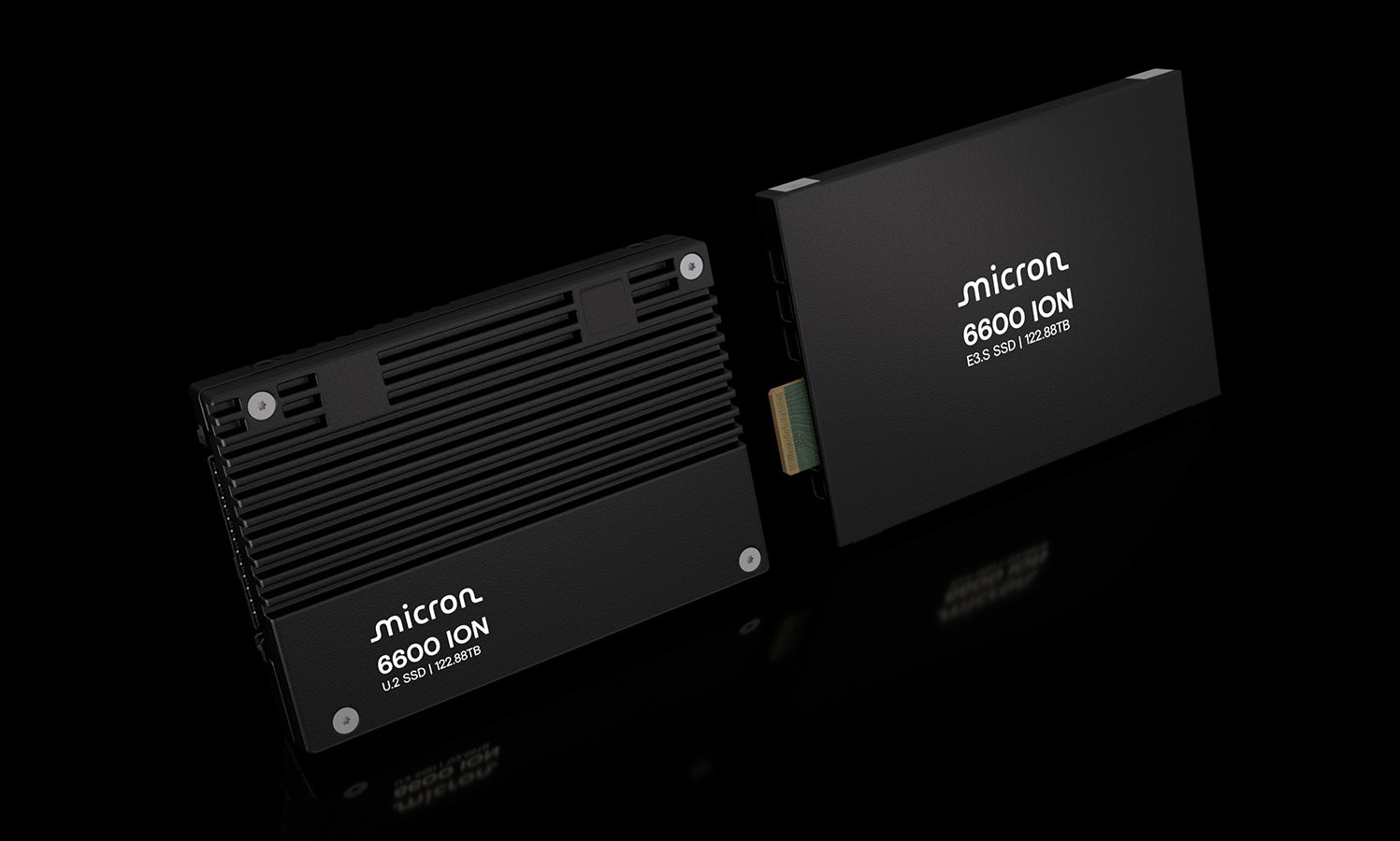 Micron 6600 ION NVMe™ SSD product family