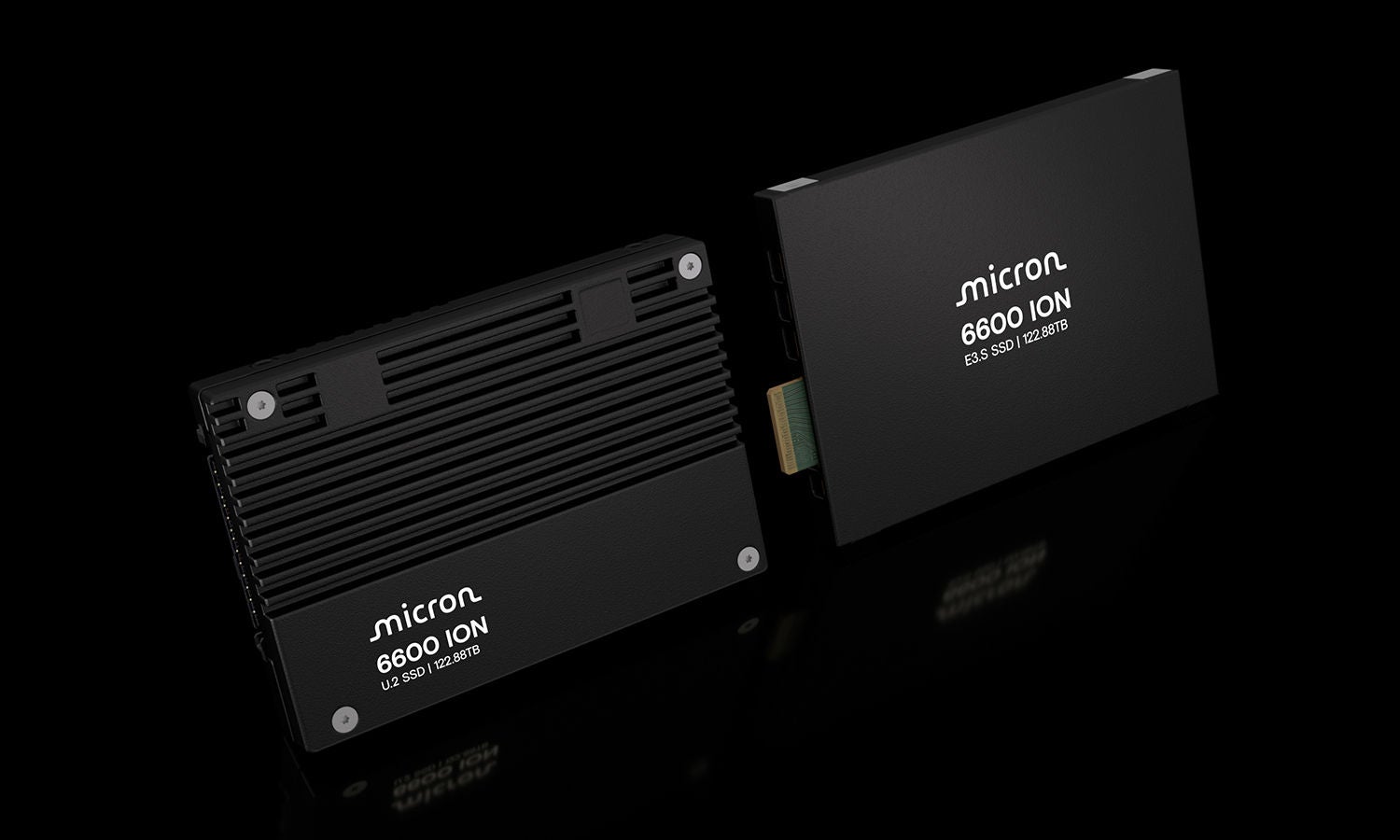 Micron 6600 ION SSD product family