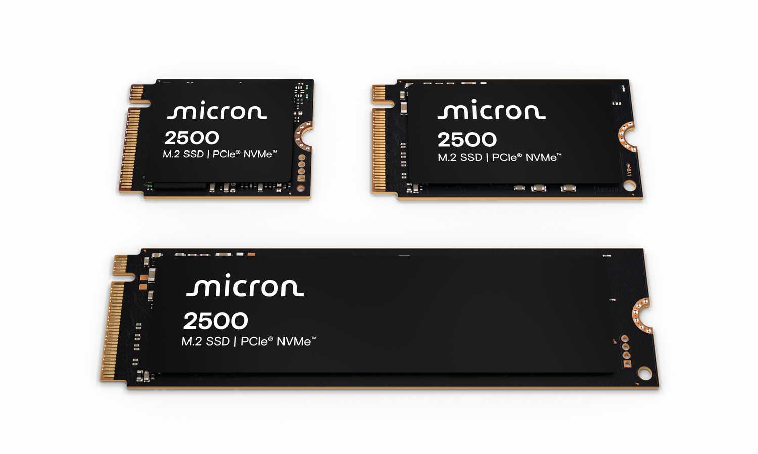 Micron 2500 M.2 SSD family shot
