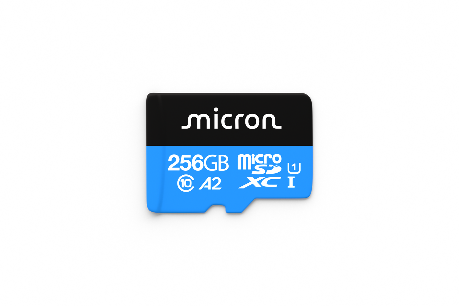 256GB microSD card